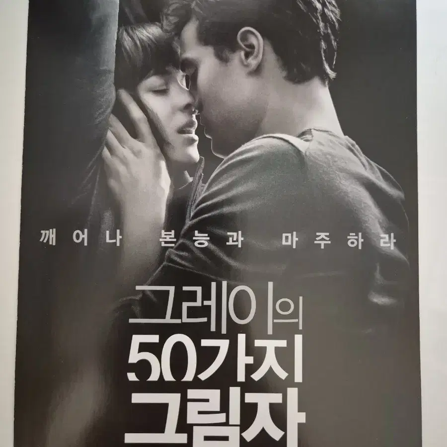 영화 그레이의 50가지 그림자 전단지 팜플렛