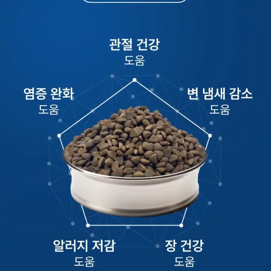 베노독 관절케어 사료 1.5kg+아침애 간식