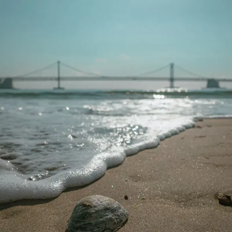 소니 a6000, 시그마 18-50mm F2.8 일괄판매