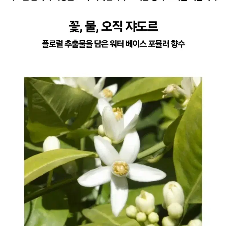 발다,어나더 결제창