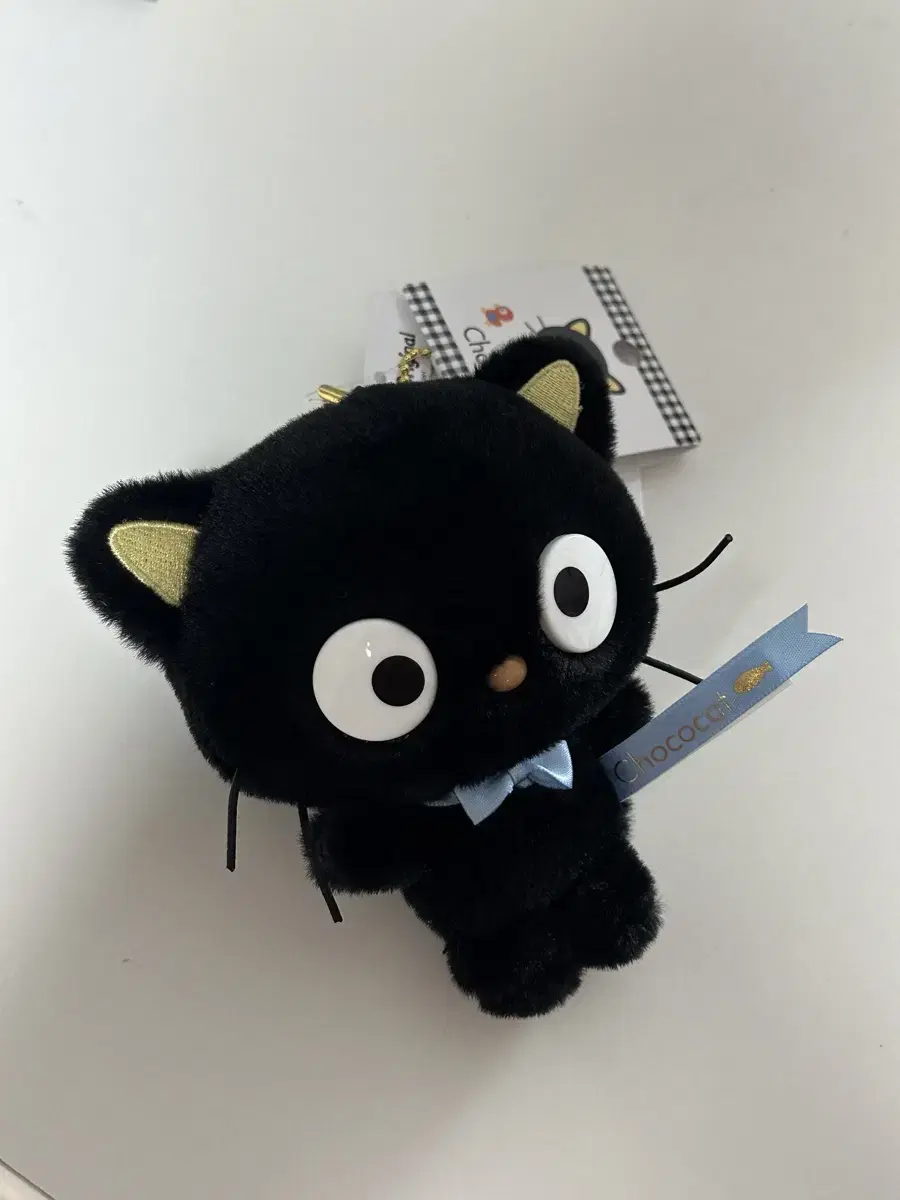 Sanrio Chococat Mascot Cat Gathering