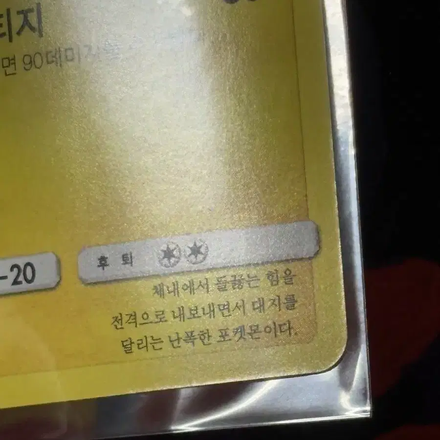 포켓몬스터 라이코 포켓몬 카드 인테리어 소품 꾸미기용 포장용