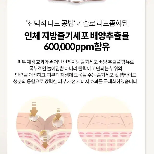 닥터 세르세 프리미엄 여성청결제 줄기세포배양 추출물  미FDA등록