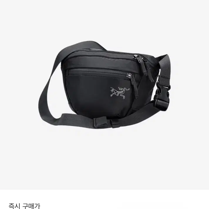 아크테릭스 맨티스 2 웨이스트팩 블랙