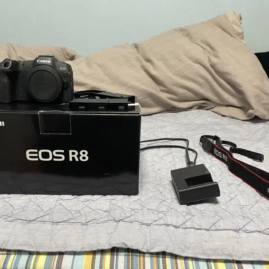 캐논 EOS R8