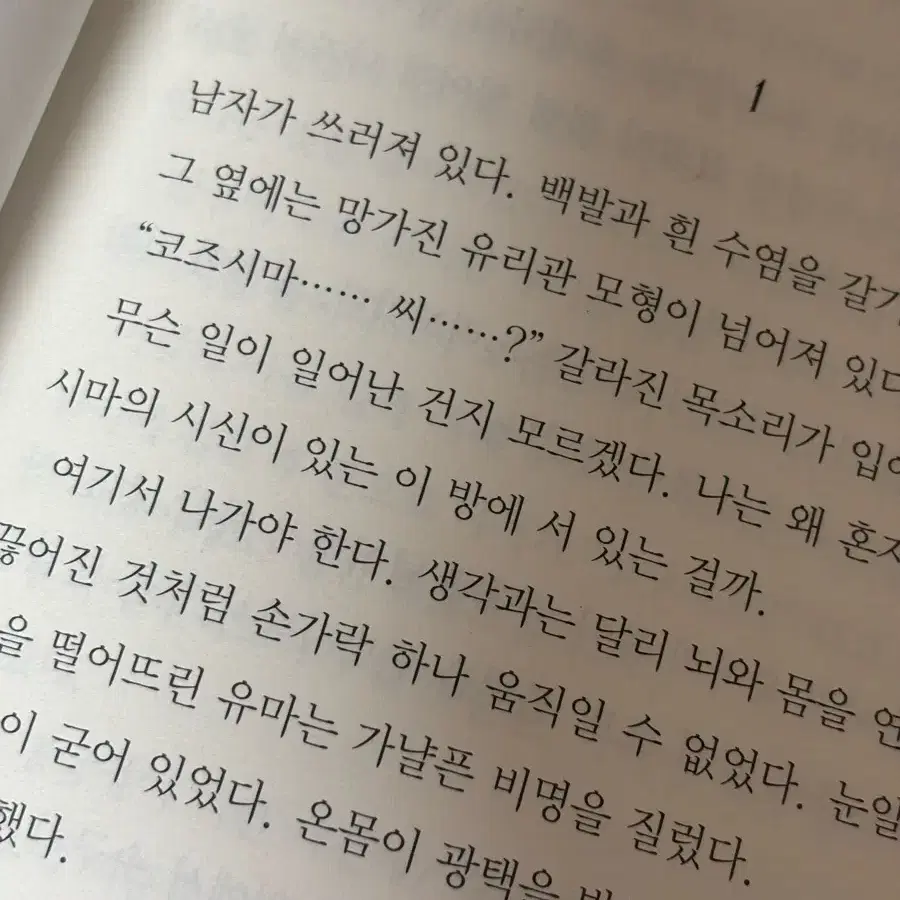 새 책 판매