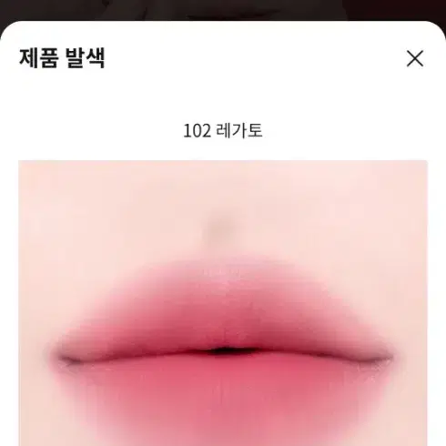 딘토 블러링 립베일