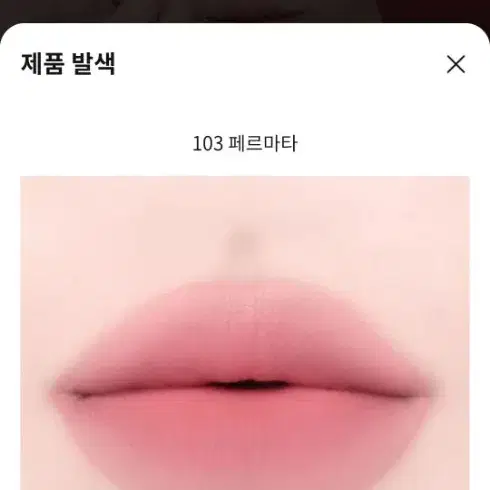 딘토 블러링 립베일