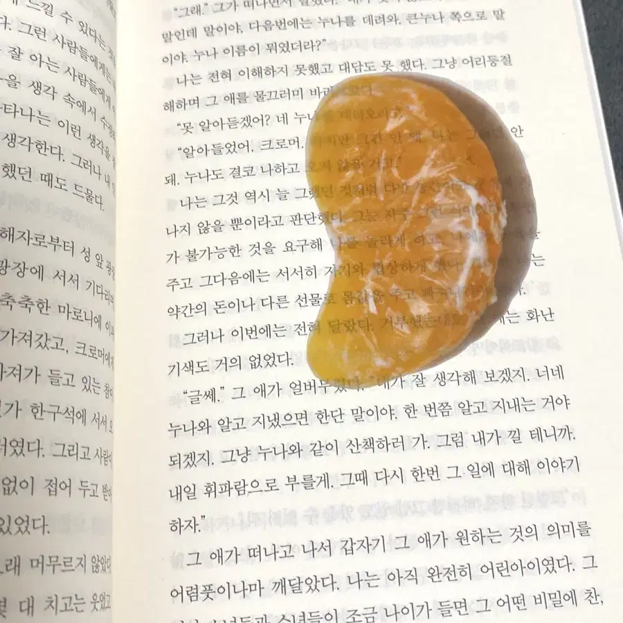 이옥토 귤 책갈피