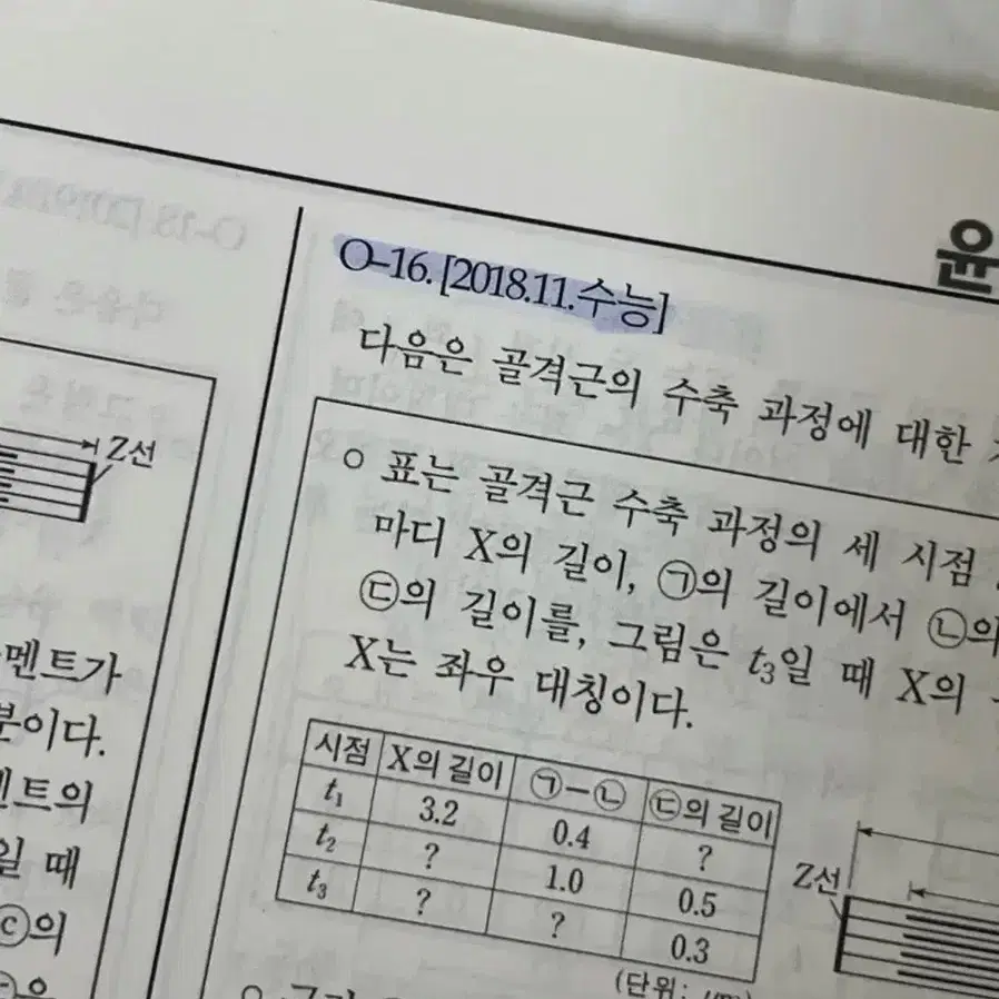 윤도영T 2023 올어바웃 6권 & 인피니트에볼루션 비유전