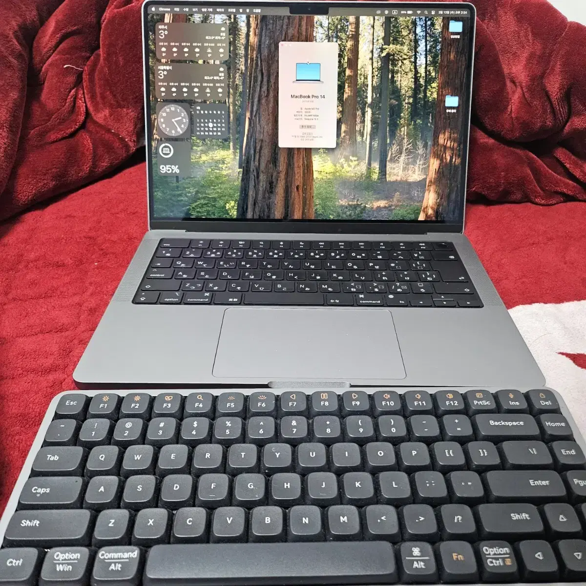 MacBook M2 Pro 14-inch 16GB 1TB (Japanese keyboard)