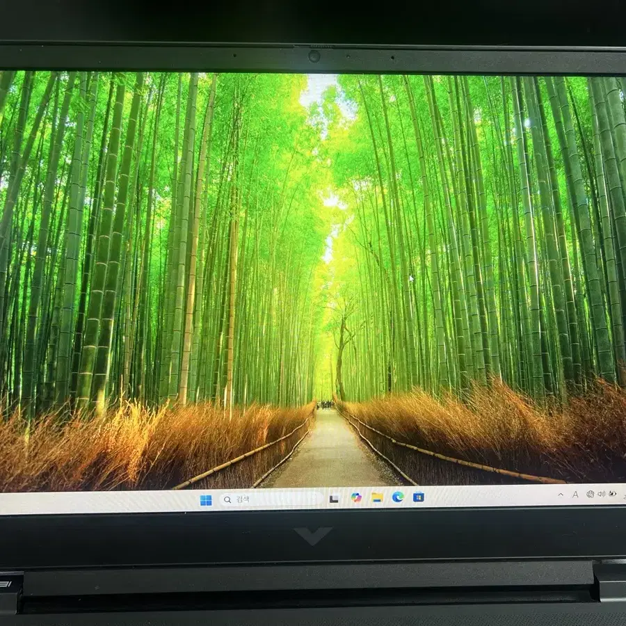 Hp 게이밍 노트북 8845HS 4060 16GB 512GB