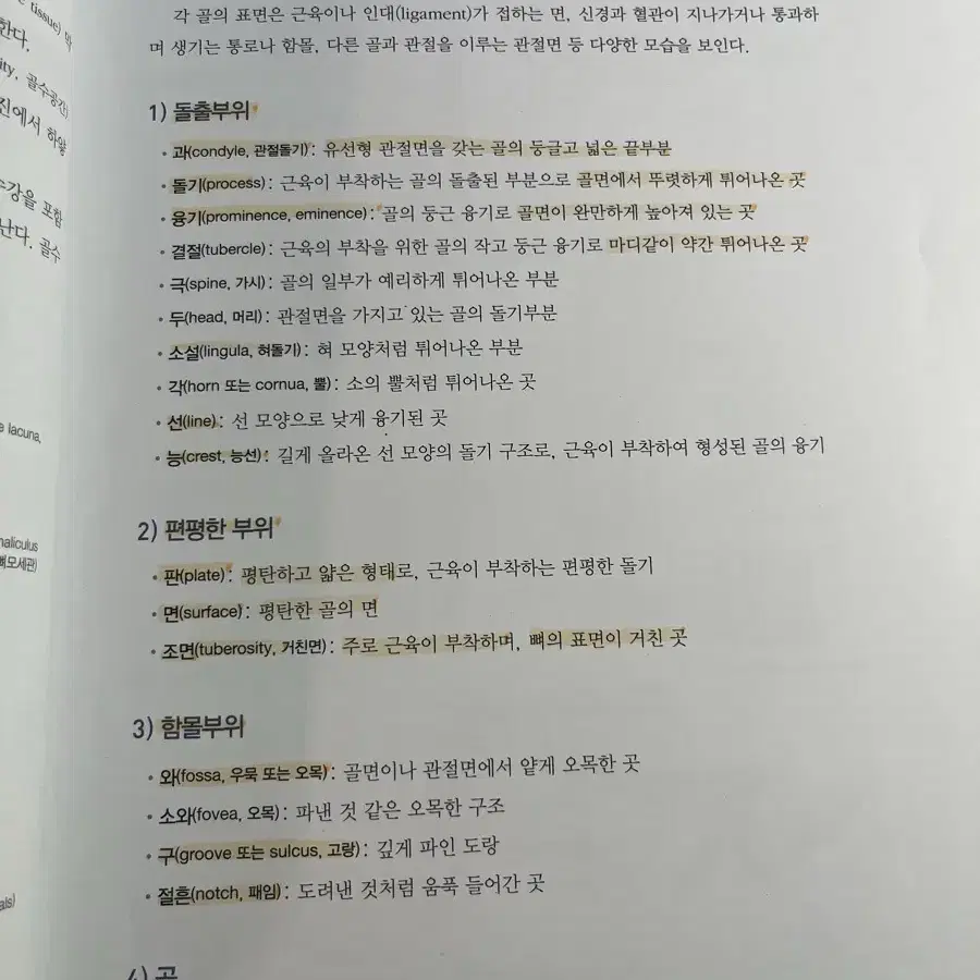 치위생 전공책 판매