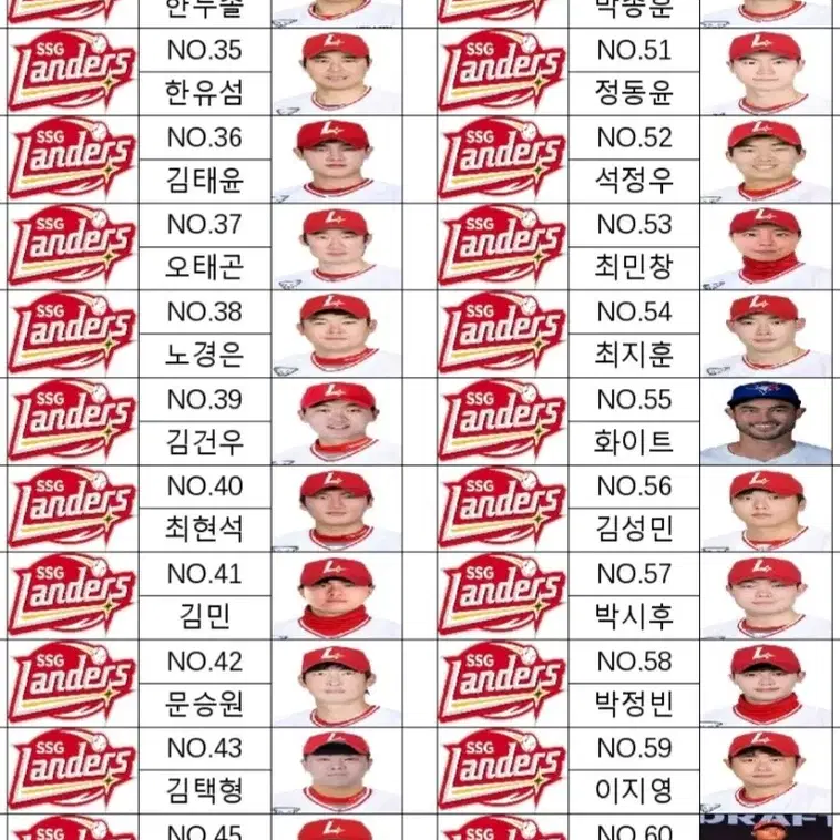 2025 SSG랜더스 싸인볼 이름표 케이스용 신고선수코치 160장