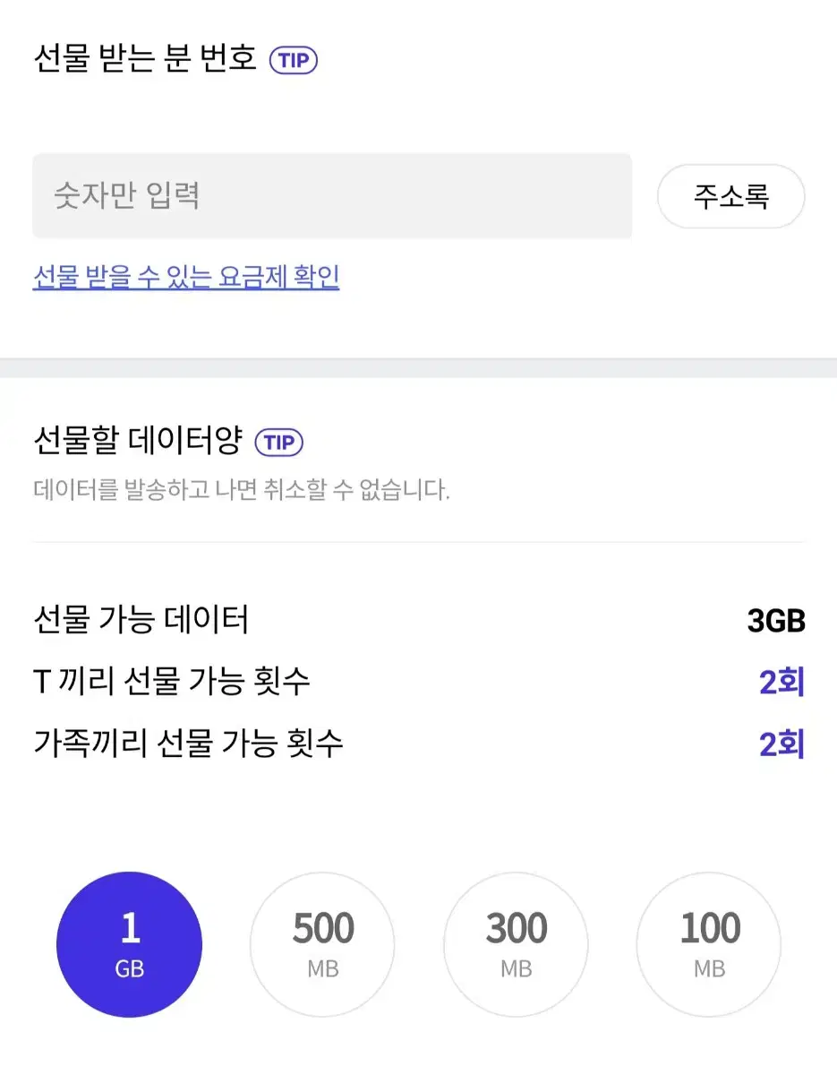 SKT 데이터 1GB