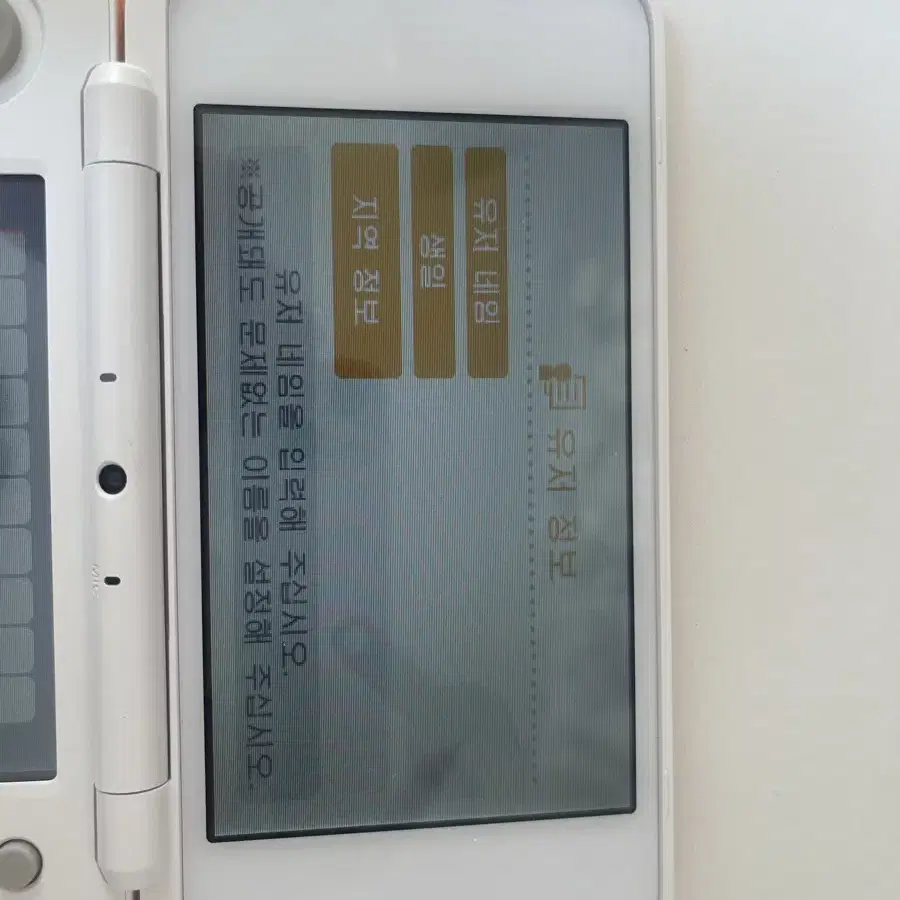 (판매완료)닌텐도 2DS XL + 튀동숲 칩