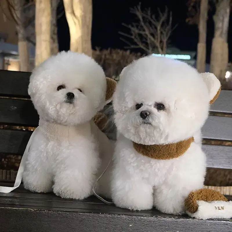 (반려동물)128번 펫의류 강아지의류 애견외출복