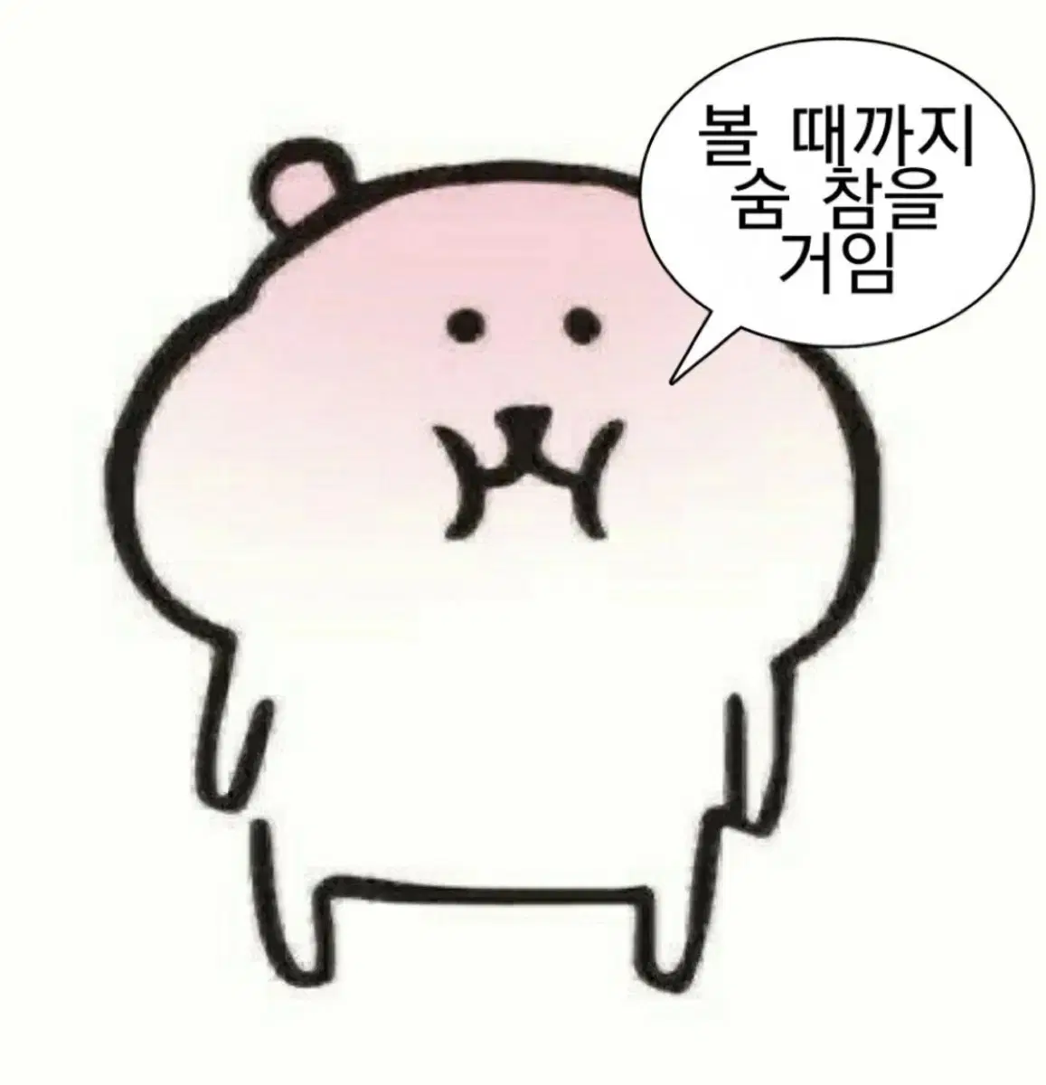 더보이즈 포카 일괄양도