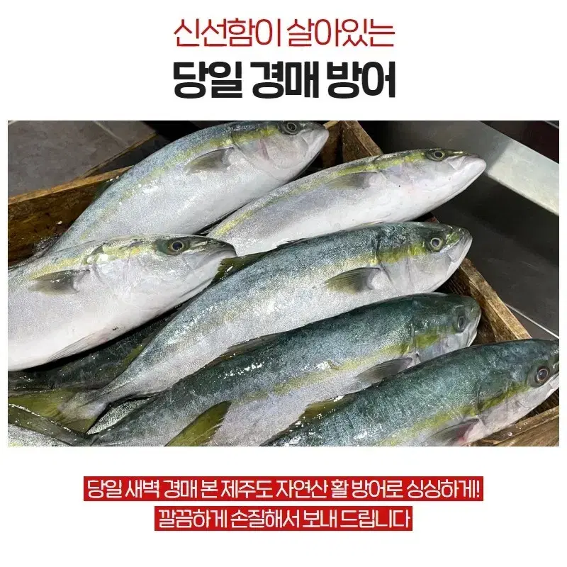 대방어필렛