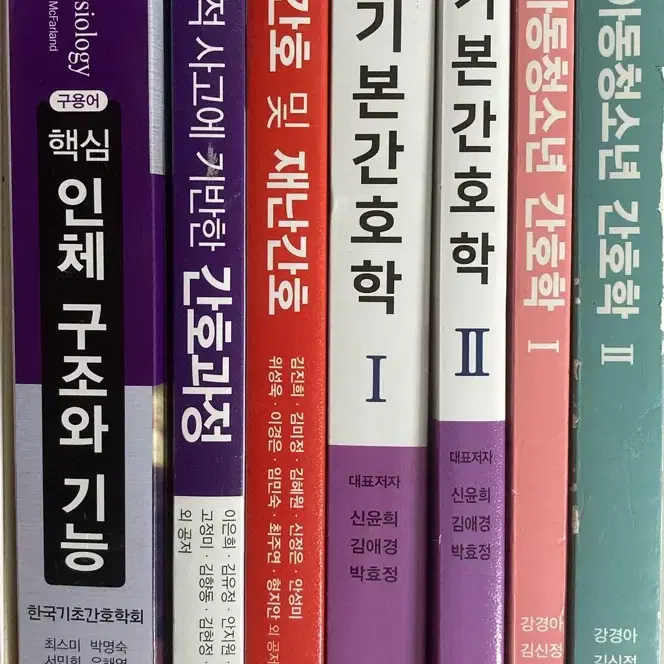 아동청소년, 기본간호학, 응급간호, 간호과정, 인체 구조와 기능