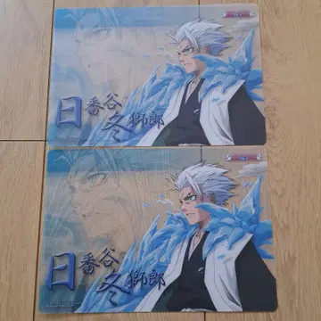 BLEACH 히즈카야 토시로 책받침 2장 세트