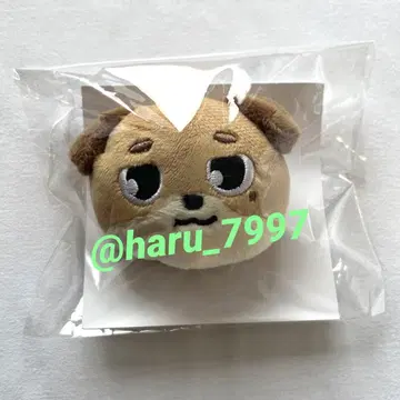 DAY6 tour dowoon 도운 봉제 인형 배지 Don 공식 굿즈
