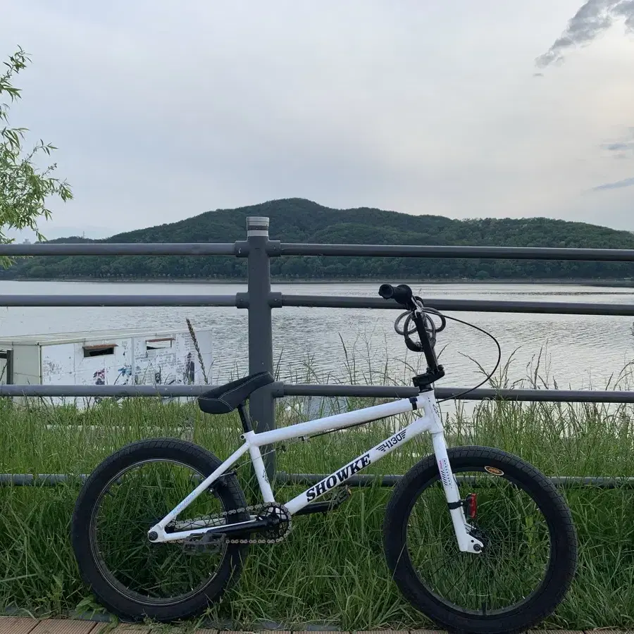 BMX 자전거