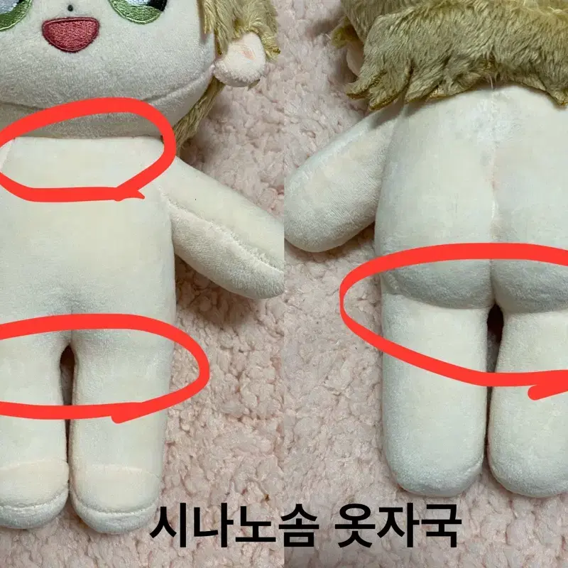 세포신곡 셒신 시나노 에이지 이소이 레이지 지고솜 20cm 솜인형 판매