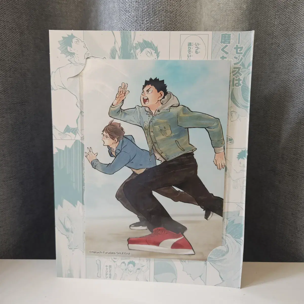 Haikyuu School Days Brochure Aoba Josai