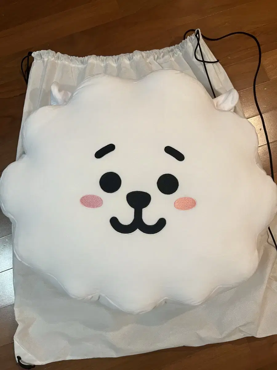 방탄소년단 BTS BT21 알제이 RJ 얼굴쿠션