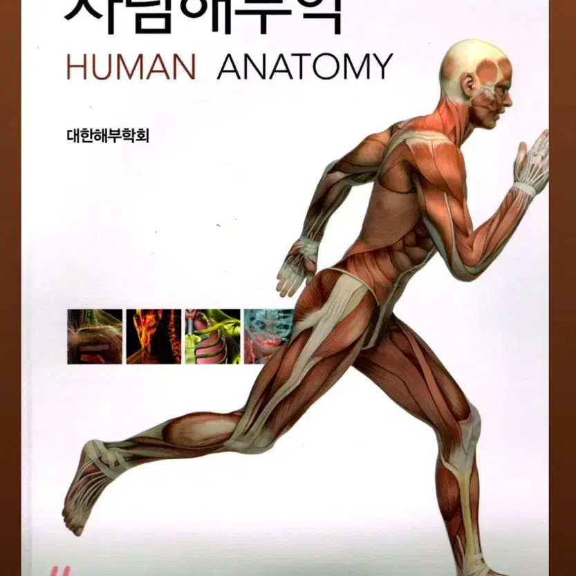 알기쉬운 사람해부학