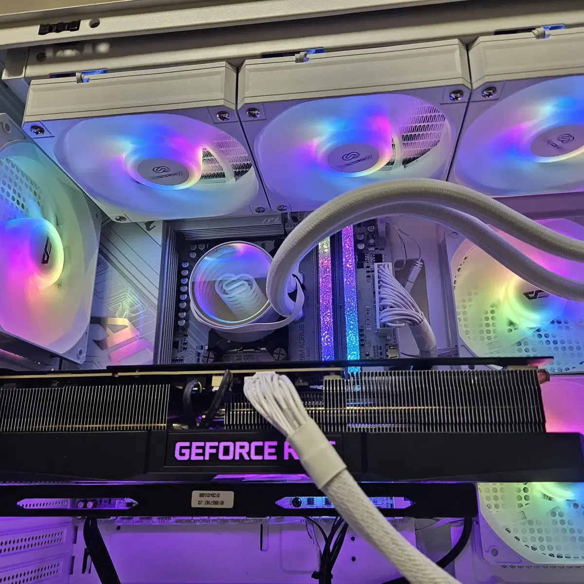 9800x3d, b850m wifi, rtx4080 super 어항 본체