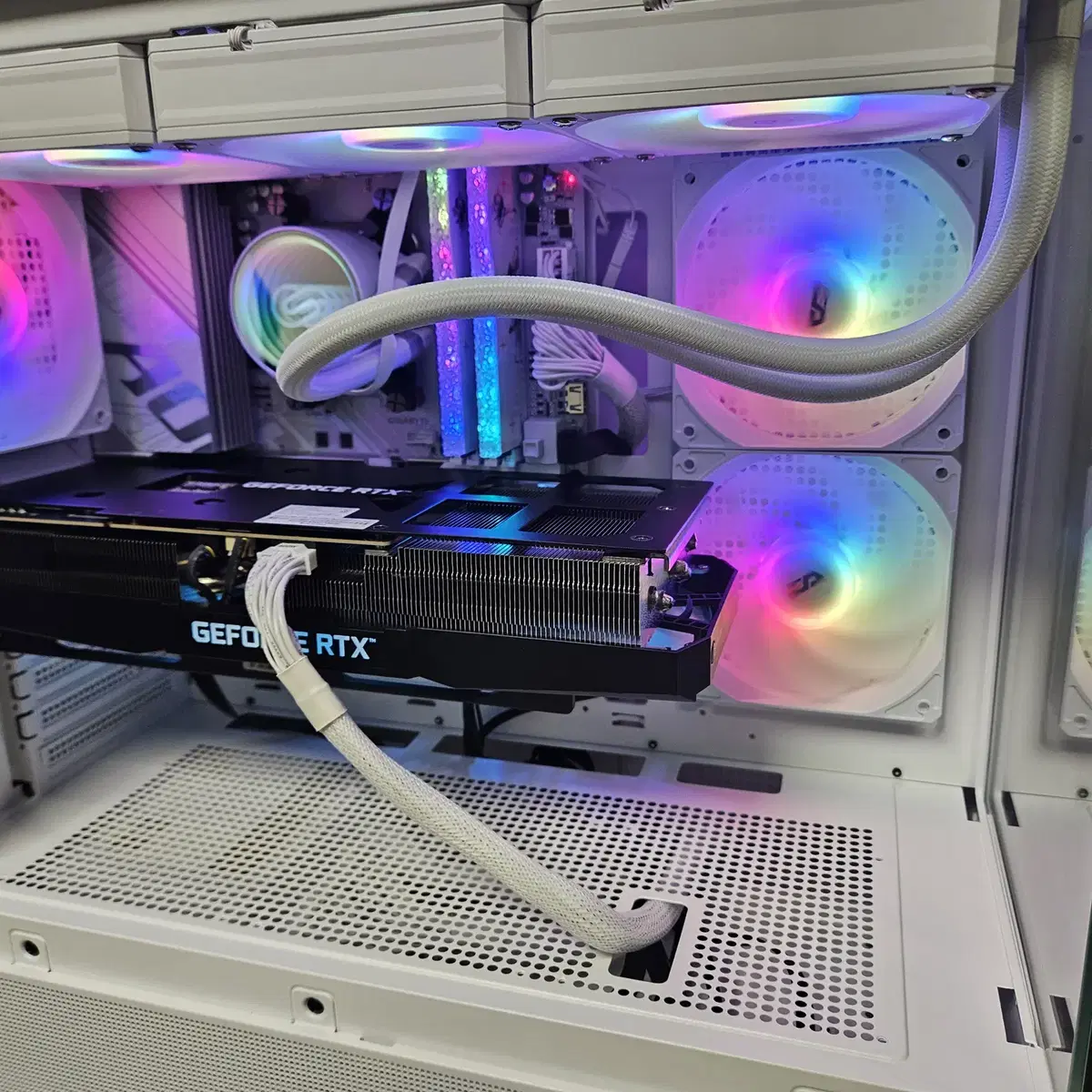 9800x3d, b850m wifi, rtx4080 super 어항 본체