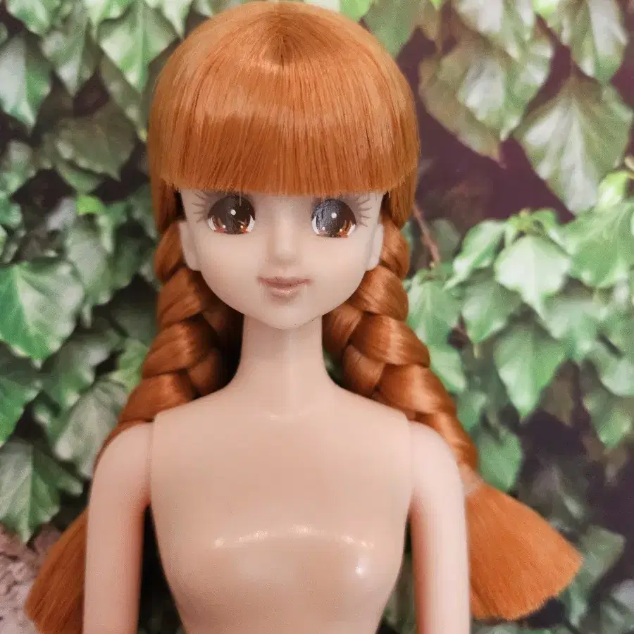 마린 제니인형 리카캐슬 리카인형 마린인형 오타노시미돌 재미돌 barbie