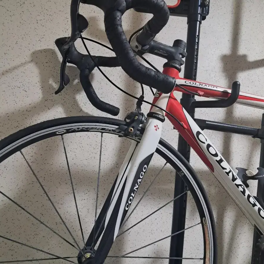 COLNAGO 콜나고 프리마베라 로드자전거