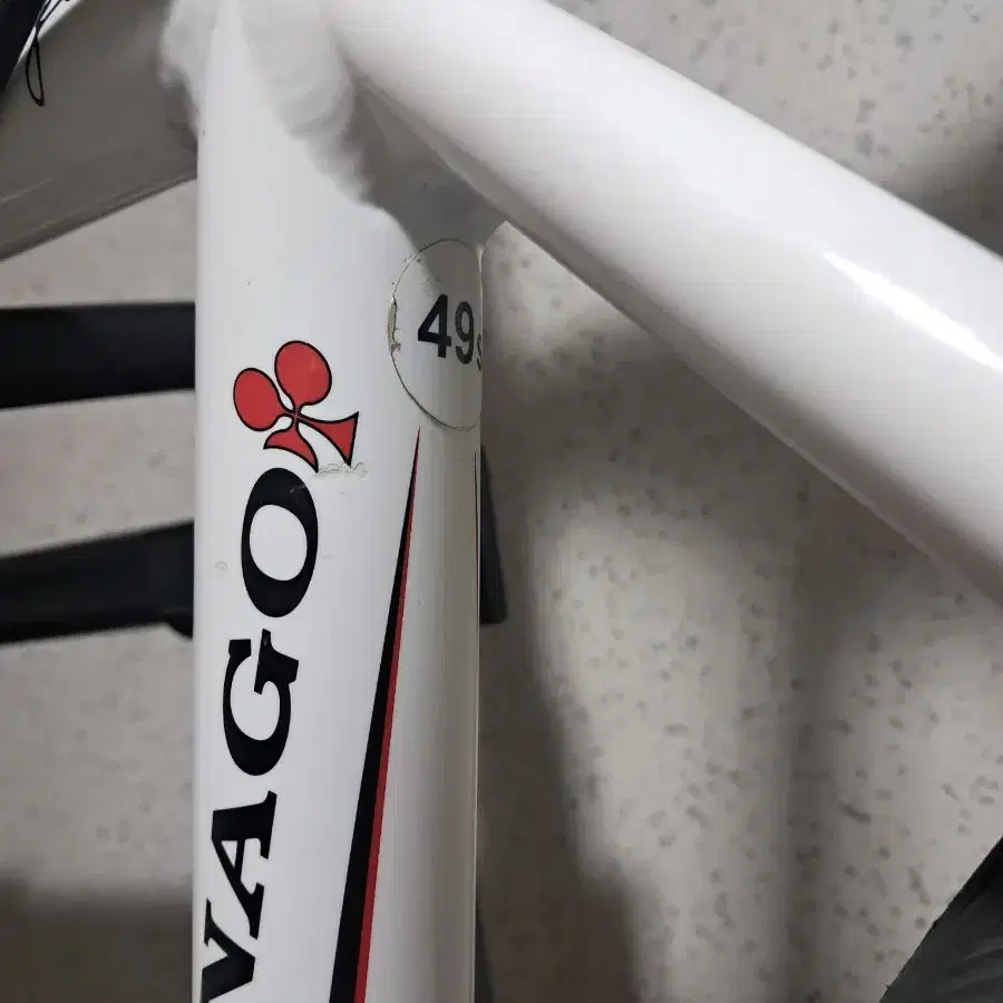 COLNAGO 콜나고 프리마베라 로드자전거