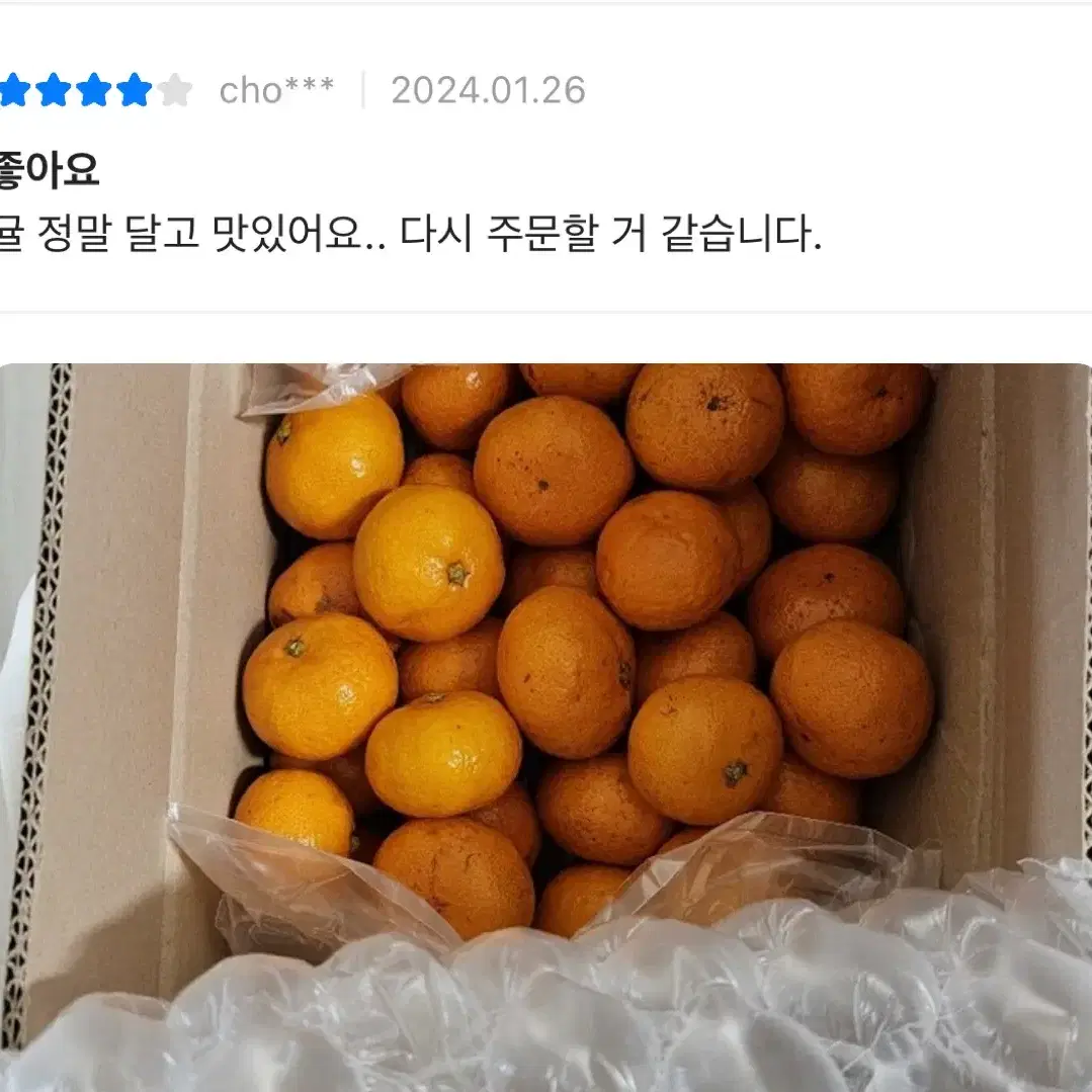 제주 극조생 타이벡 햇 노지 감귤 5kg(S-M) 로얄과 도 최고