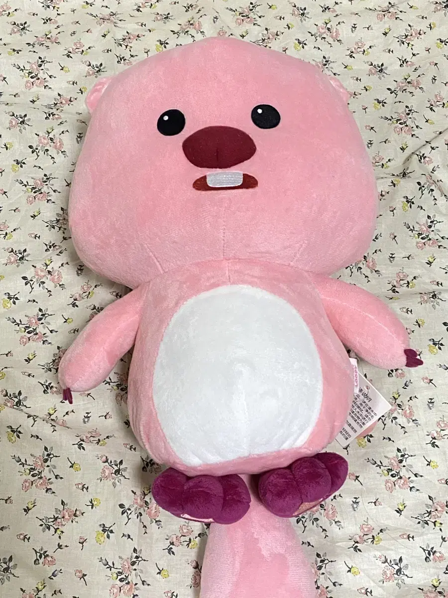 루피 인형 중대형 새상품