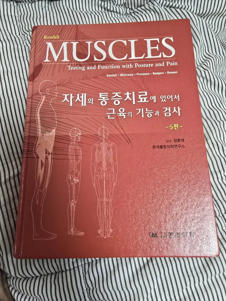 켄달 자세와 통증치료에 있어 근육의 기능과 검사