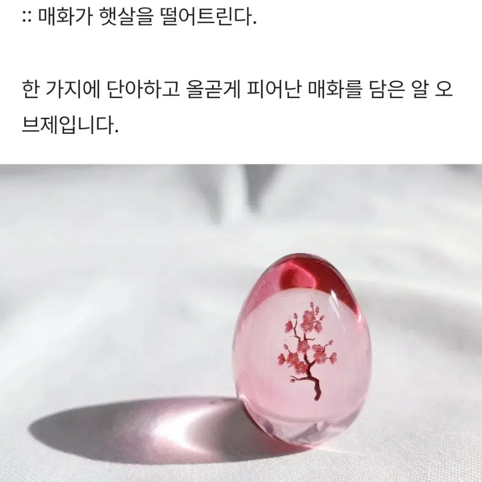 매화 만개와 매화 낙섬의 알 오브제 화산귀환