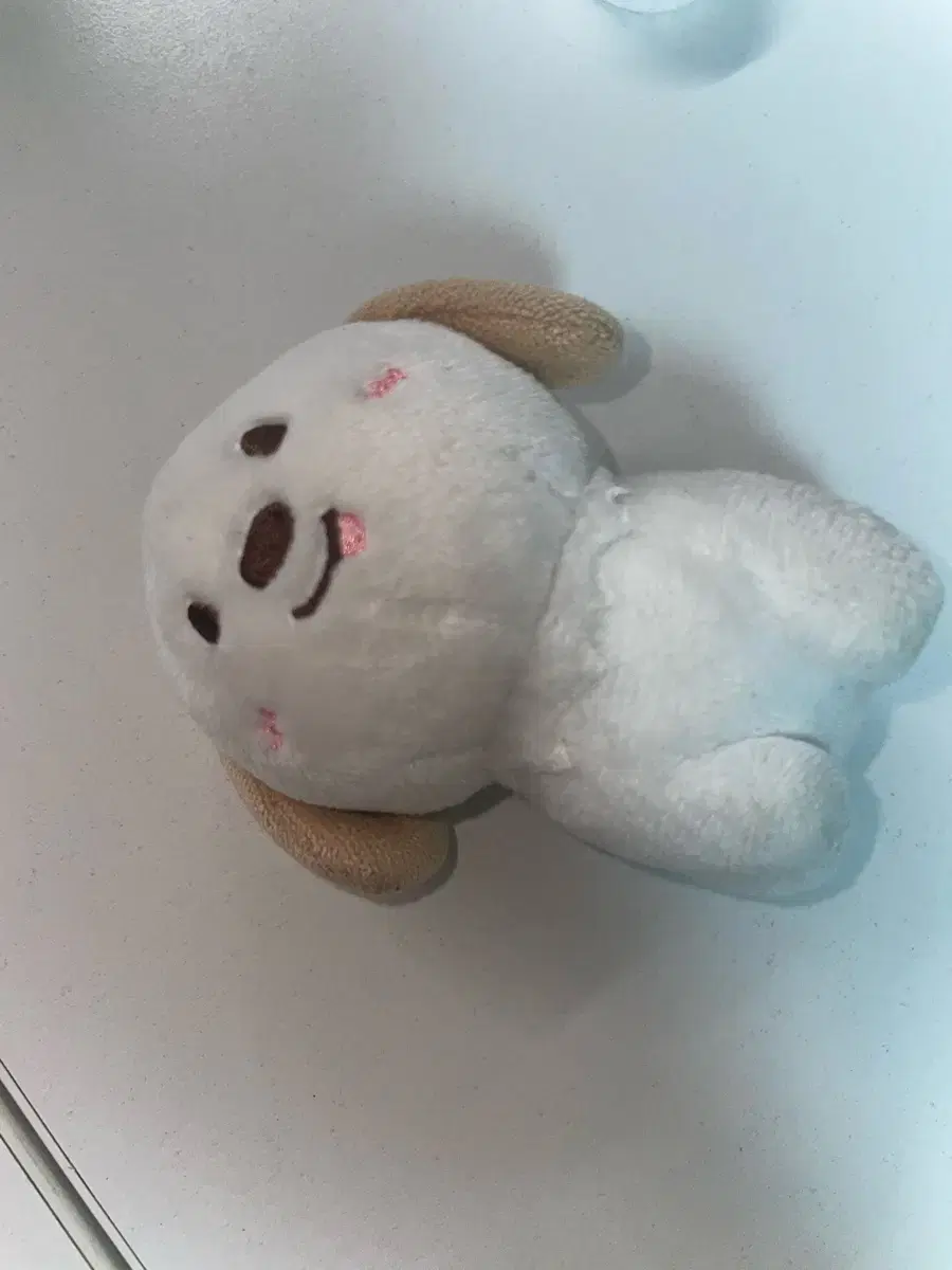 라이즈 앤톤 인형 10cm 멍룡이