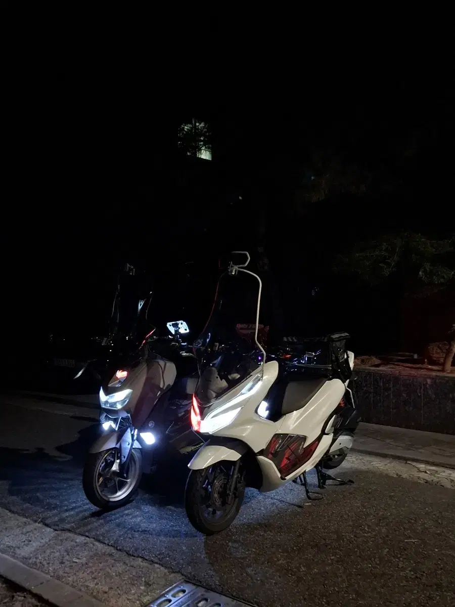 19년식 pcx 팝니다