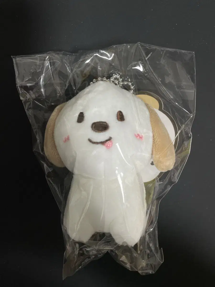 RIIZE 라이즈 10cm 인형 앤톤 멍룡이 미개봉