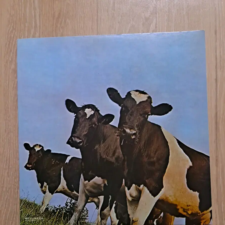 PINK FLOYD ATOM HEART MOTHER