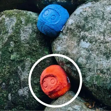 TOFT 토프트 DARUMA 달마 DM013 빨간색