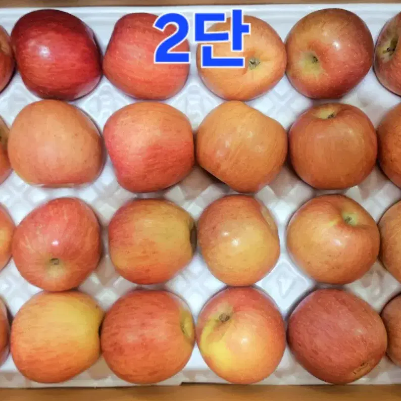 (택포) 충주사과 10kg 47과 '품종:부사'