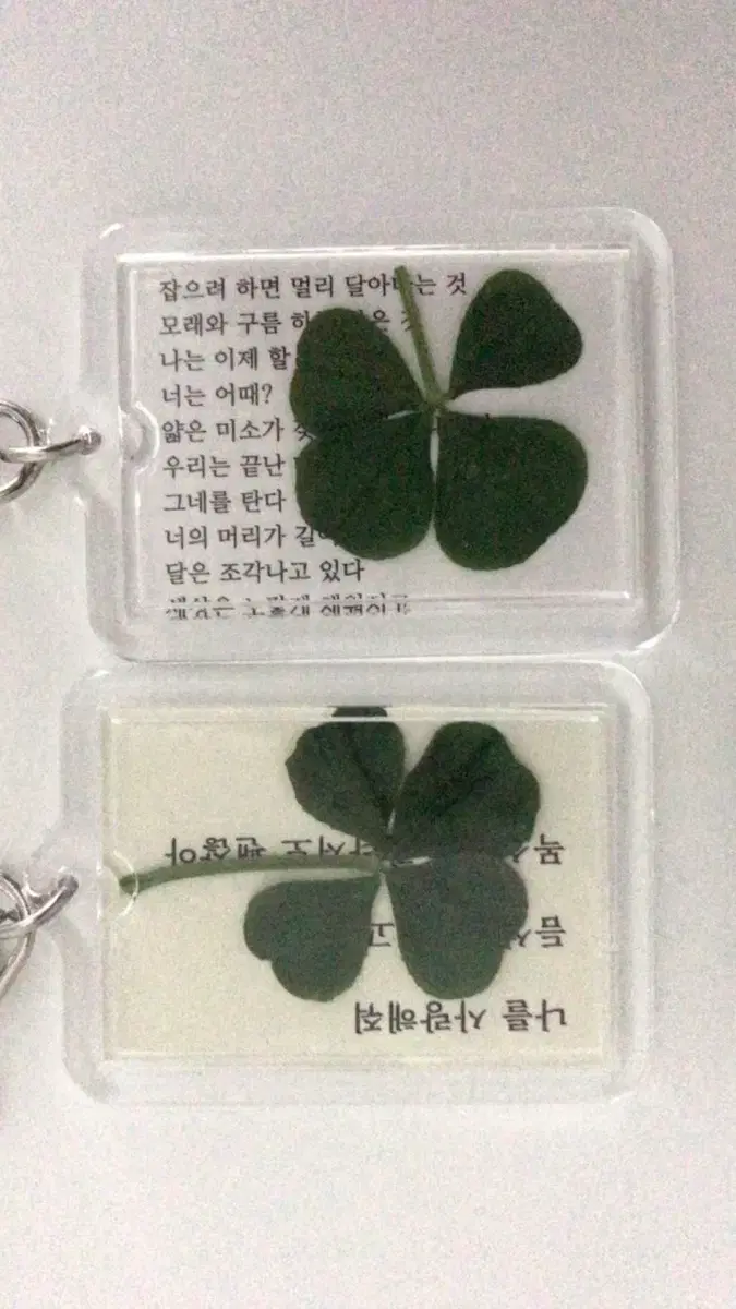 미니 아미밤