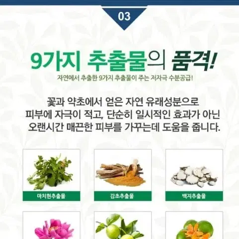 달팽이 앰플 크림