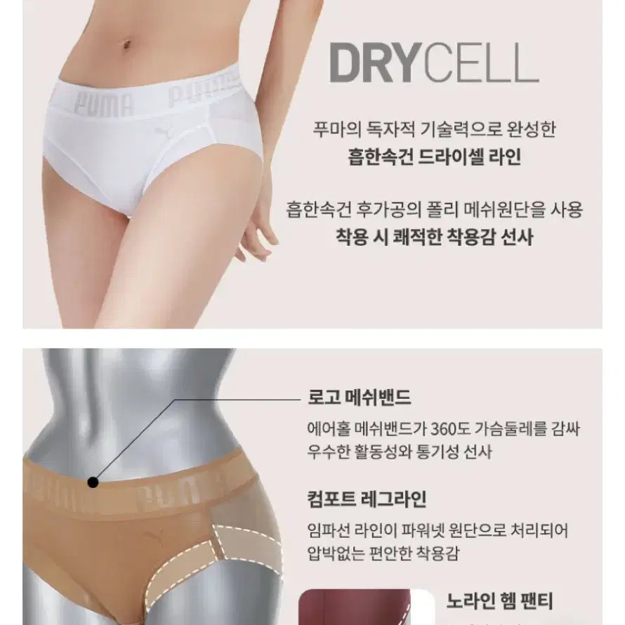 푸마 바디웨어 핏 팬티