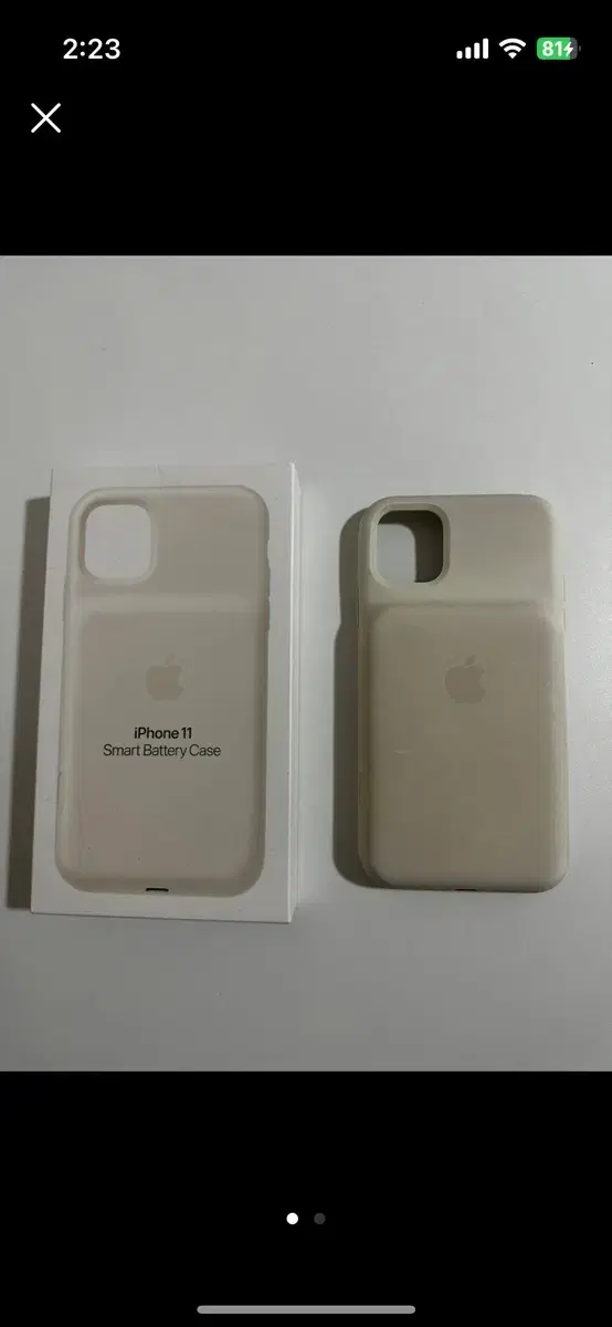 iPhone 11 battery case